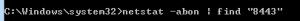 Figure 4 - Quick command to determine which port is open and list connected applications