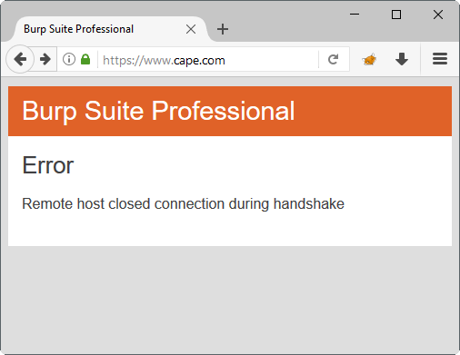 for android instal Burp Suite Professional 2023.10.2.3